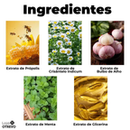 Spray Restaurador Rápido de Dentes - Própolis Oral