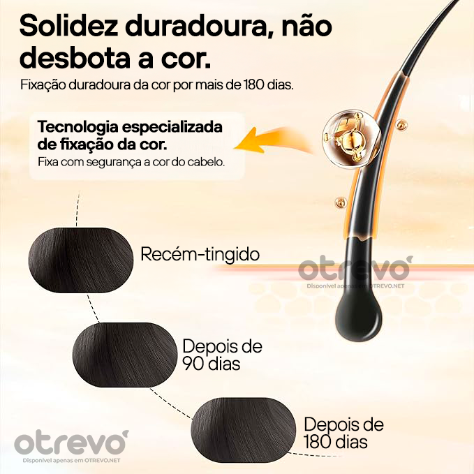 Shampoo de Tintura instantâneo 3 em 1 - (ÚLTIMAS UNIDADES EM PROMOÇÃO)