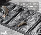 CatchMouse® - Armadilha Pegajosa Para Ratos