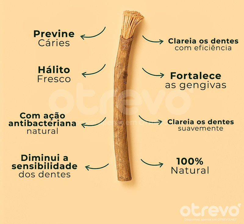 Kit 12 Escovas Miswak 100% Naturais + Brinde Exclusivo