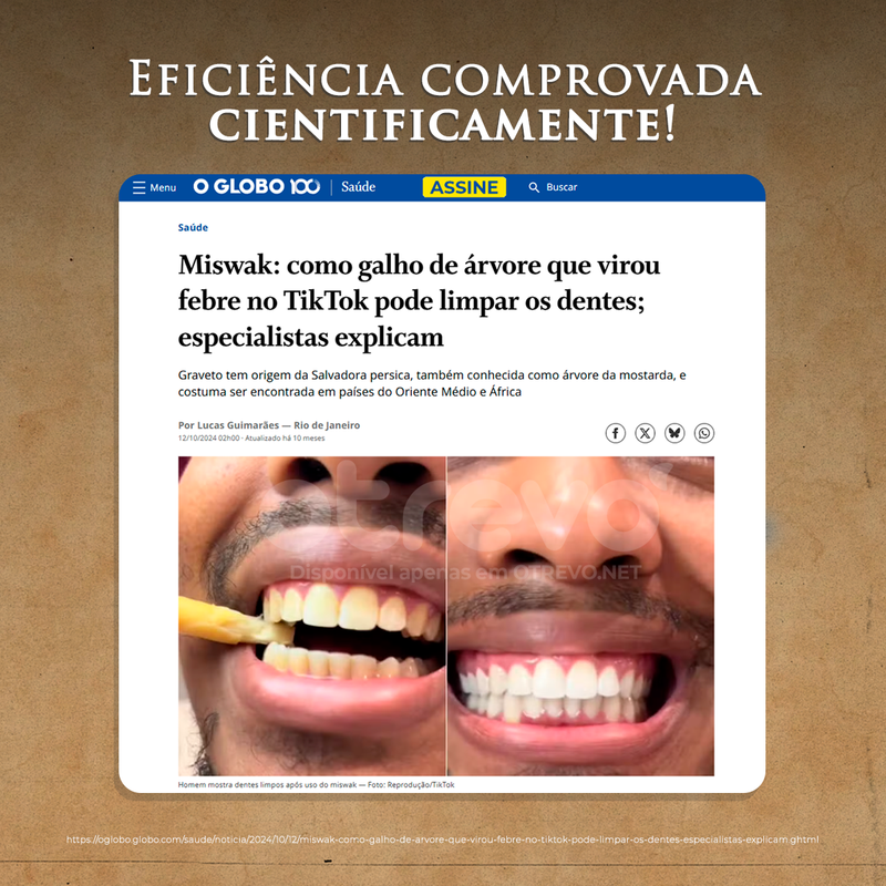 Kit 12 Escovas Miswak 100% Naturais + Brinde Exclusivo