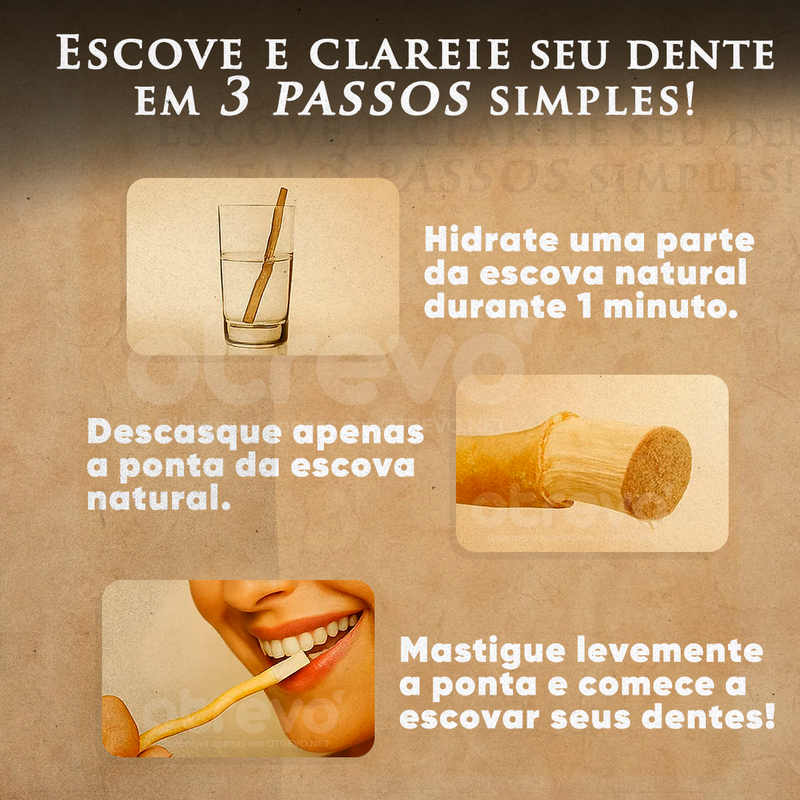 Kit 12 Escovas Miswak 100% Naturais + Brinde Exclusivo