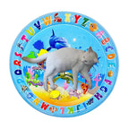 46150250496251|46150250529019|46150250627323|46150250660091