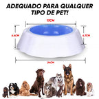Tigela Bebedouro Com Resfriamento Para Cães e Gatos - IcePet®