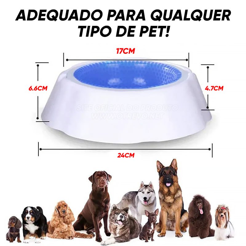 Tigela Bebedouro Com Resfriamento Para Cães e Gatos - IcePet®