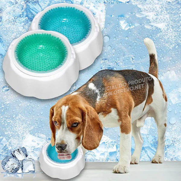 Tigela Bebedouro Com Resfriamento Para Cães e Gatos - IcePet®