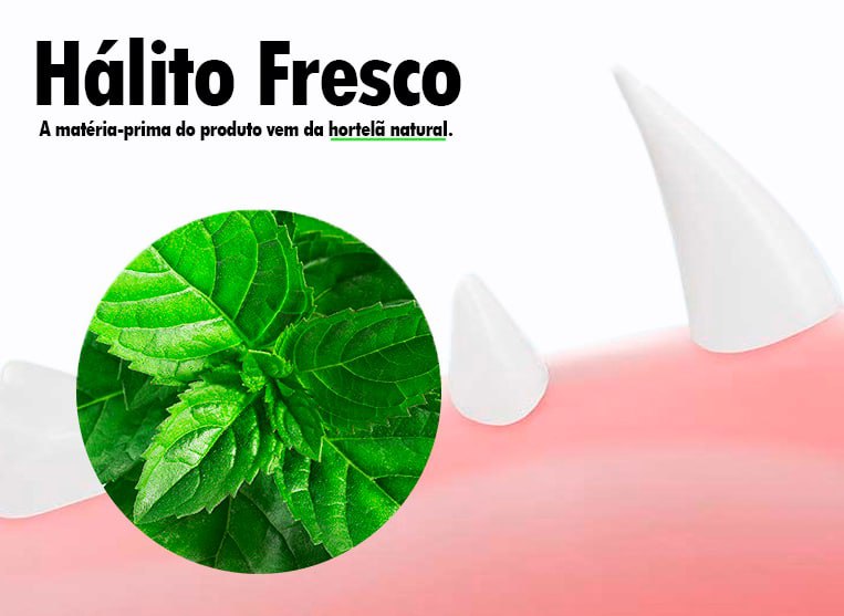 Lambedor Catnip Para Gatos - Melhora na digestão e humor