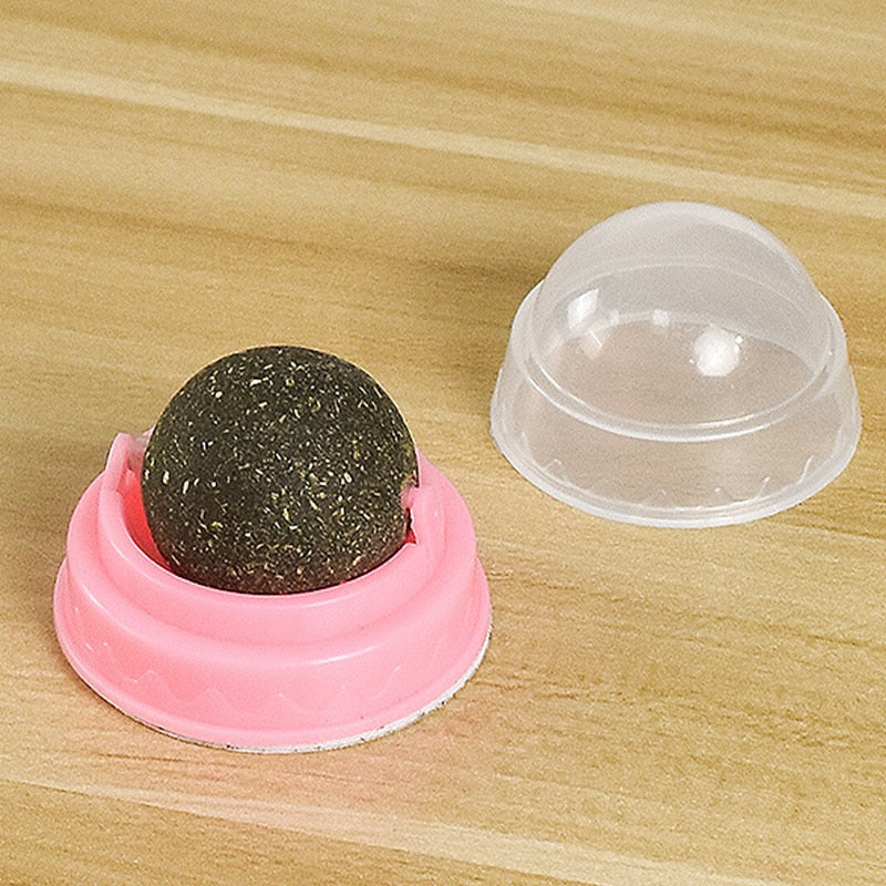 Lambedor Catnip Para Gatos - Melhora na digestão e humor