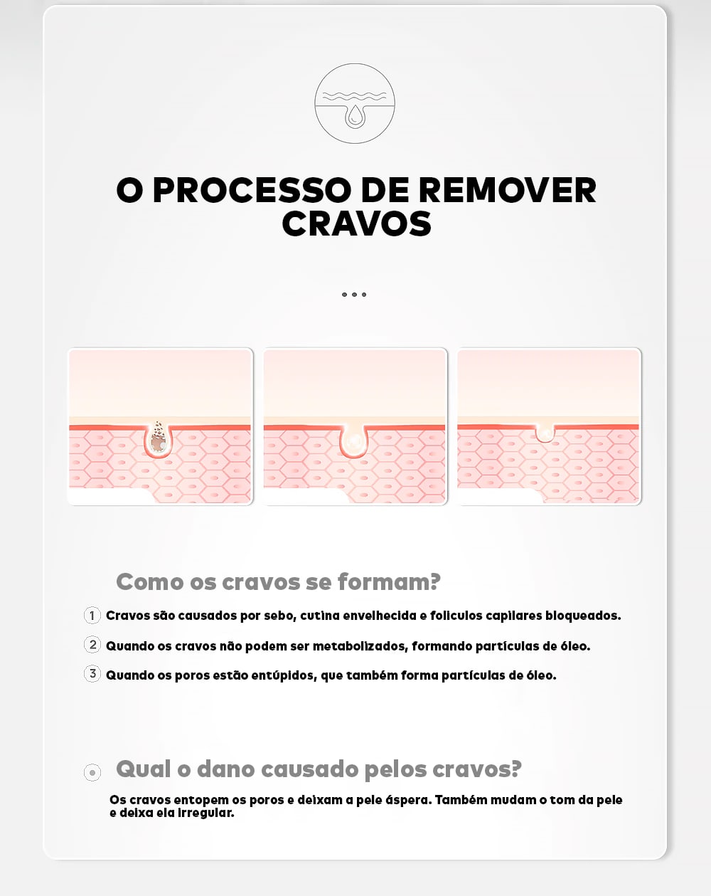 Removedor de Cravos Lanbena + 60 Adesivos Aplicadores (Brinde) 2 em 1